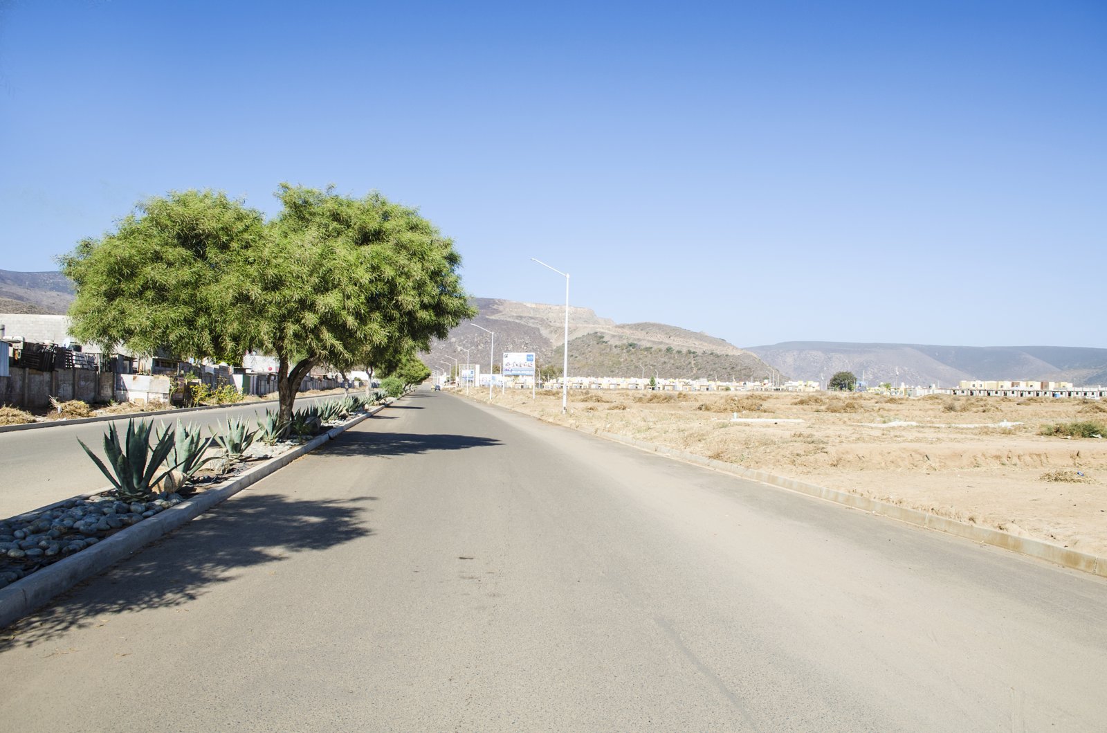 Calle de concreto en Ventto Living